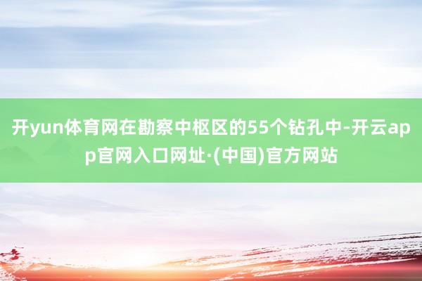 开yun体育网在勘察中枢区的55个钻孔中-开云app官网入口网址·(中国)官方网站